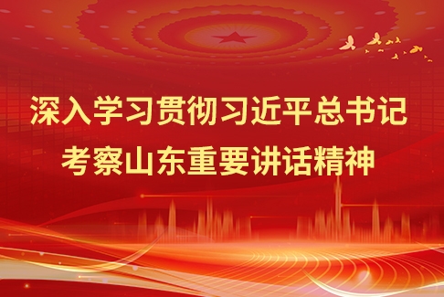 深刻进建贯彻习近平总书记调查山东沉要讲话心灵